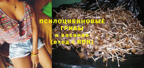 шишки Алзамай