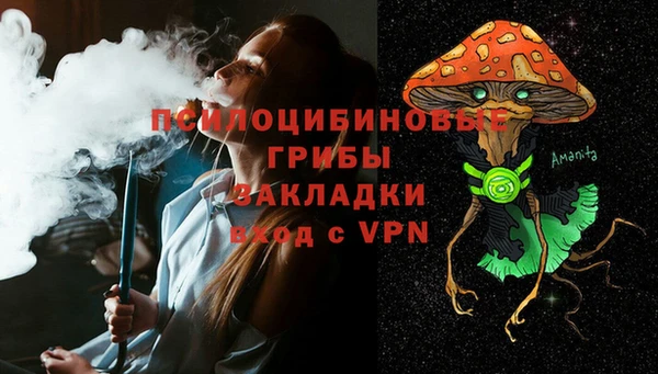 круглые Алексеевка