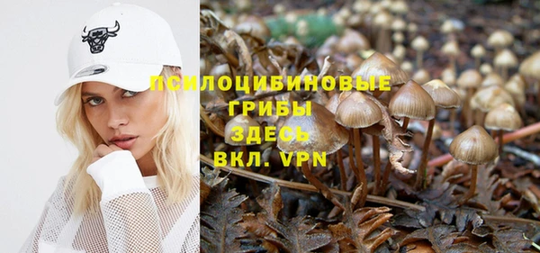 шишки Алзамай