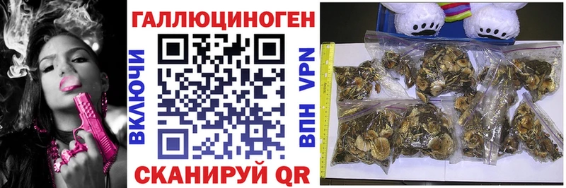 наркошоп  сайты даркнета какой сайт  Галлюциногенные грибы ЛСД  Кирсанов 